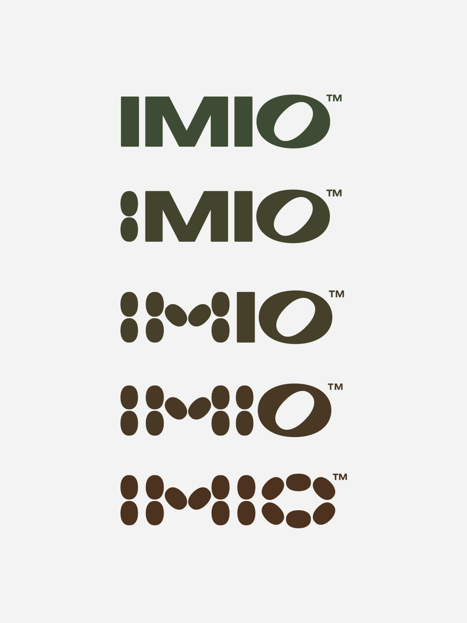 imio-13-1.gw